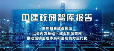 中建政研智库报告 防范ppp项目的隐性债务风险 财办金 2019 40号文解读